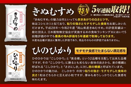 令和6年産  岡山県の選べる2種食べ比べセット 岡山県産 白米 精米 矢掛町 4品種の中からお好きな品種を2袋選べる！《30日以内に順次出荷(土日祝除く)》 10kg 以上 あきたこまち きぬむすめ ひのひかり 朝日 米 コメ