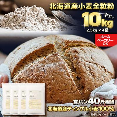 ふるさと納税 室蘭市 【毎月定期便】北海道産 スペルト小麦全粒粉 ディンケルスター 10kg全4回