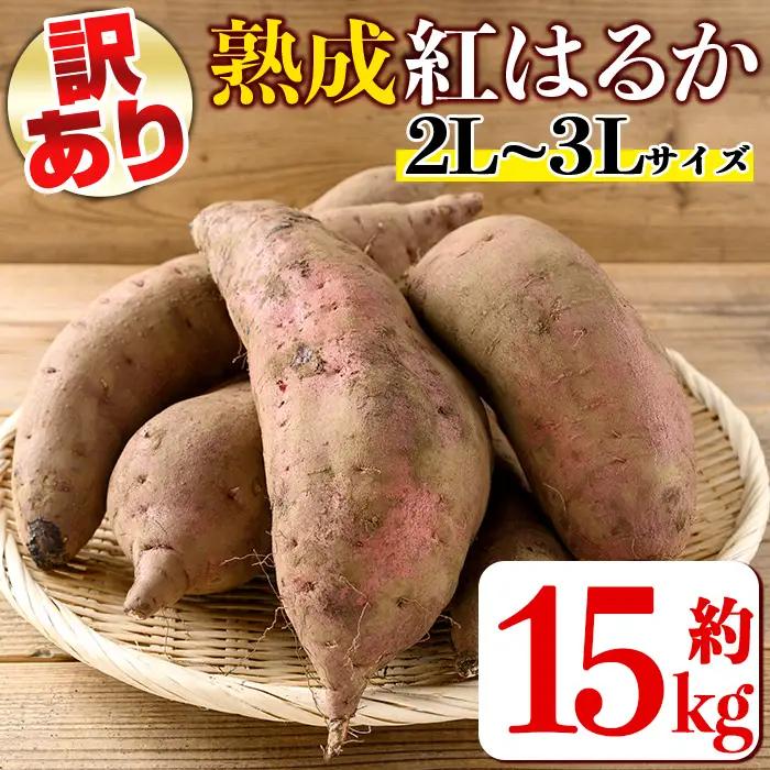 isa876 《訳あり・予約受付中！2026年12月より順次発送予定》熟成紅はるか(約15kg・2L～3Lサイズ混合) 訳あり さつまいも 紅はるか 鹿児島 生芋 完熟 長期熟成 土付き べにはるか サツマイモ 焼き芋に 【いさ工房】