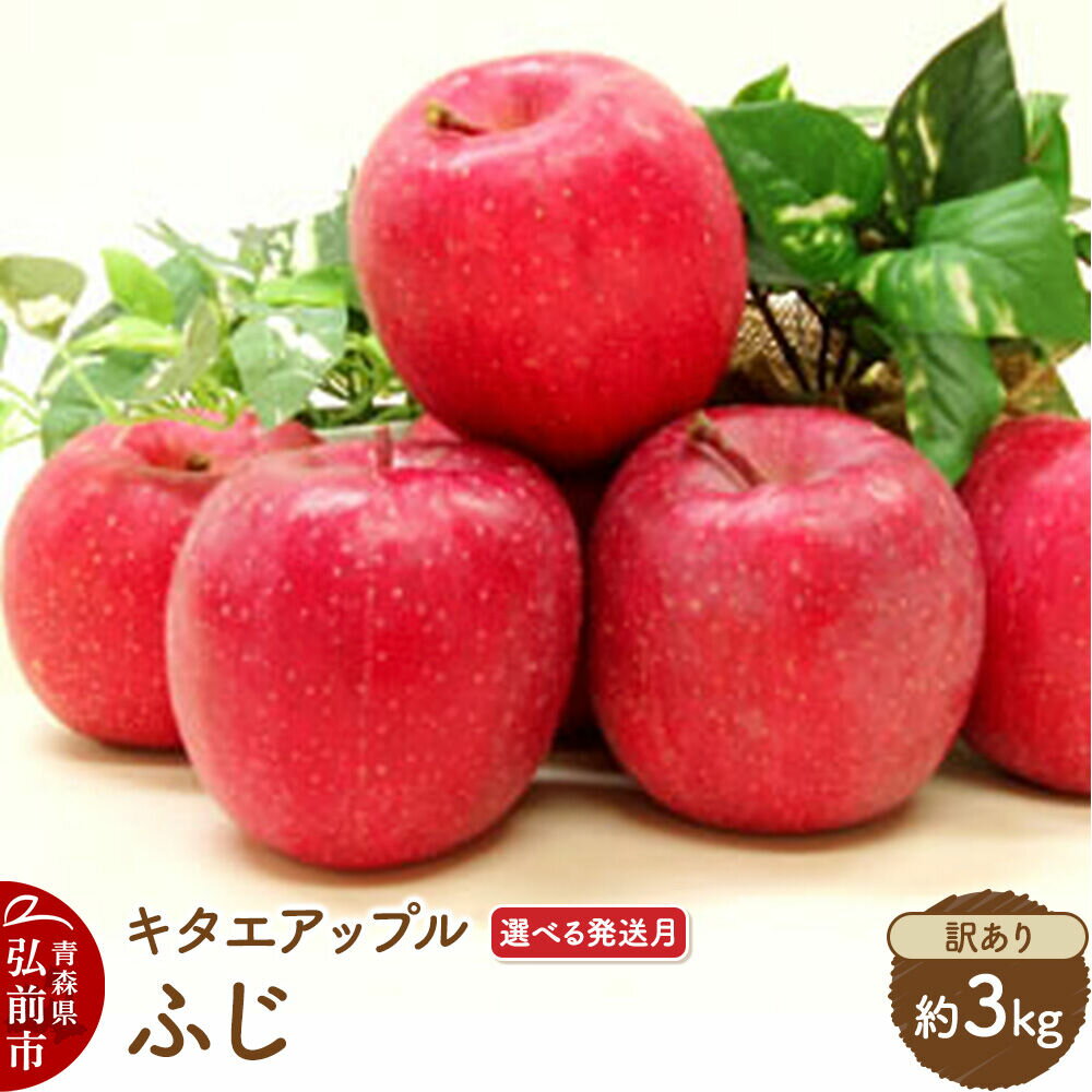 【ふるさと納税】りんご ふじ【訳あり】約3kg【選べる発送月】【CA貯蔵】キタエアップル [不揃い 規格外 アップル 産地直送 青森県 弘前市 詰め合わせ セット 果物 フルーツ 林檎 リンゴ くだもの]
