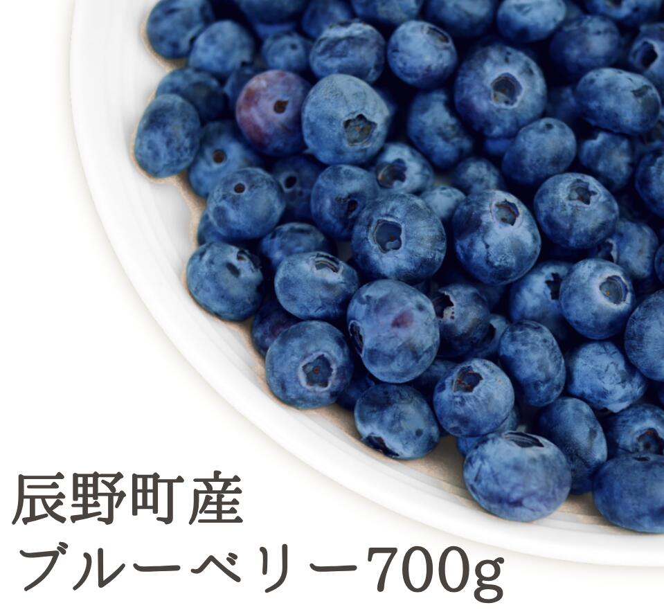 【ふるさと納税】 240 農薬不使用 国産 ブルーベリー 700g限定品 手摘み 長野県 先行予約