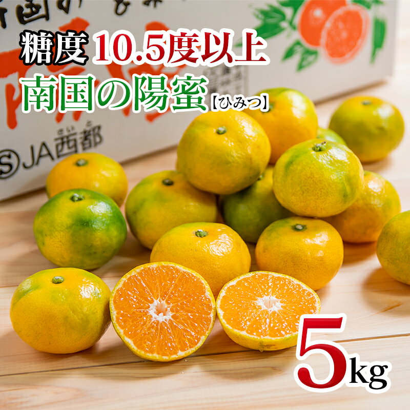 【ふるさと納税】西都市産 みかん「南国の陽蜜」5kg（宮崎県 西都市 露地栽培 極早生） さいと サイト