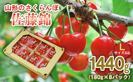 山形のさくらんぼ 佐藤錦  1440g (180g×8パック)Lサイズ以上 【令和8年産先行予約】FS25-515