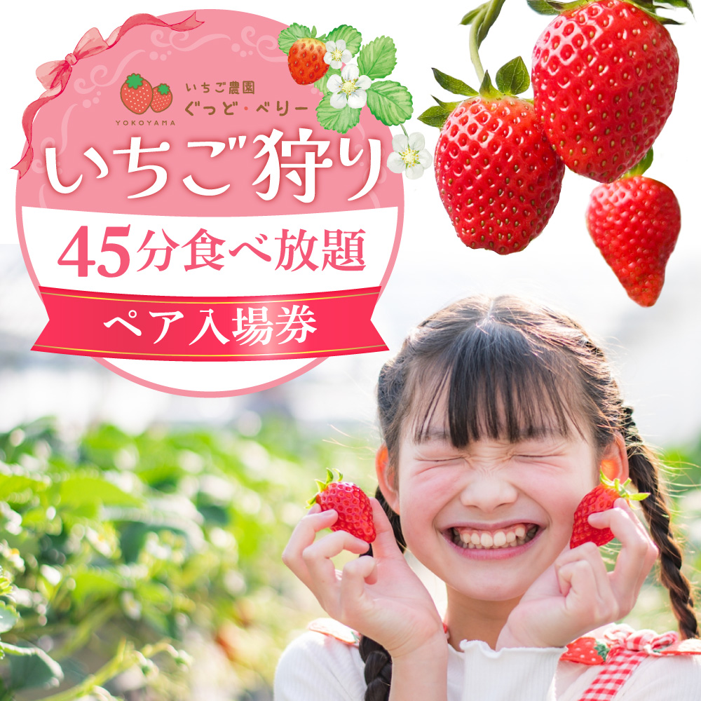 いちご狩りペア入場券 いちご農園ぐっど・べりー 滋賀県 東近江市 B-A12 いちご狩り ペア チケット 滋賀 食べ比べ 9種類 45分間 体験