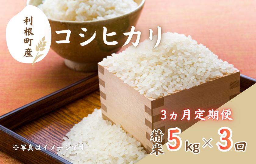 【3ヵ月定期便】利根町産コシヒカリ　精米5kg×3回 ／ 米 こめ コメ お米 おこめ コシヒカリ こしひかり 令和7年産 新米 白米 精米 ご飯 ごはん 5kg 定期便 送料無料