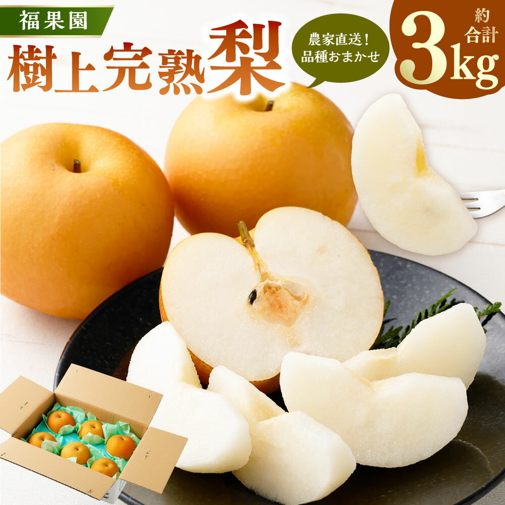 【ふるさと納税】【先行受付】福果園の樹上完熟梨 農家直送品種おまかせ（3kg程度）5～9玉 | 福果園 梨 果物 果実 完熟 フルーツ 冷蔵 農家直送 新鮮 品種 おまかせ 豊水 福水 あきづき 甘太 岐阜県 美濃加茂市 送料無料 【2026年9月上旬～9月下旬 発送予定】