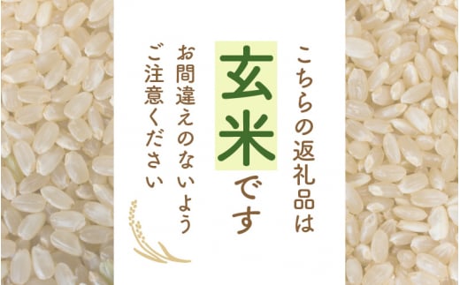 令和7年産 コシヒカリ 10kg 福井県産【玄米】【お米 こしひかり 10キロ 人気品種】 [e30-b016]