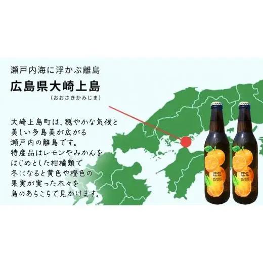 クラフトビール みかんペールエール 330ml × 3本セット