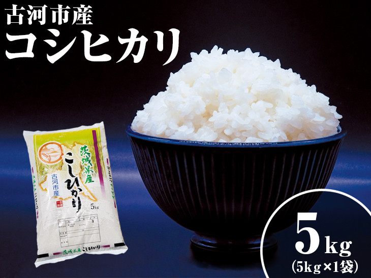 
            令和6年産 新米 5kg 関東平野で育った古河市産コシヒカリ 5kg (5kg×1袋) ※北海道・沖縄・離島への配送不可 | こめ 米 コメ こしひかり 5キロ 古河市産 茨城県産 単一米 国産 ご飯 白米 精米 ギフト 贈答 贈り物 プレゼント お祝 ご褒美 記念日 景品 _DG03
          