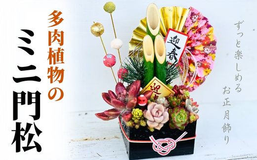 
                  【先行受付】多肉植物のミニ門松
                
