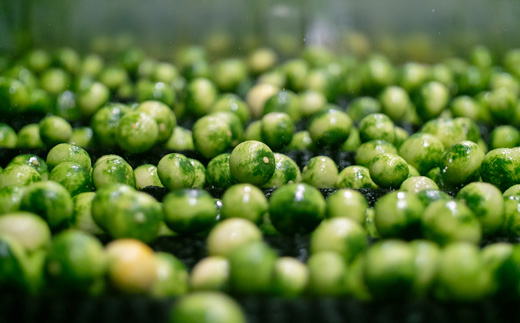 「山神果樹薬草園」すだちのハンドケアセット《30日以内に出荷予定(土日祝除く)》s-1