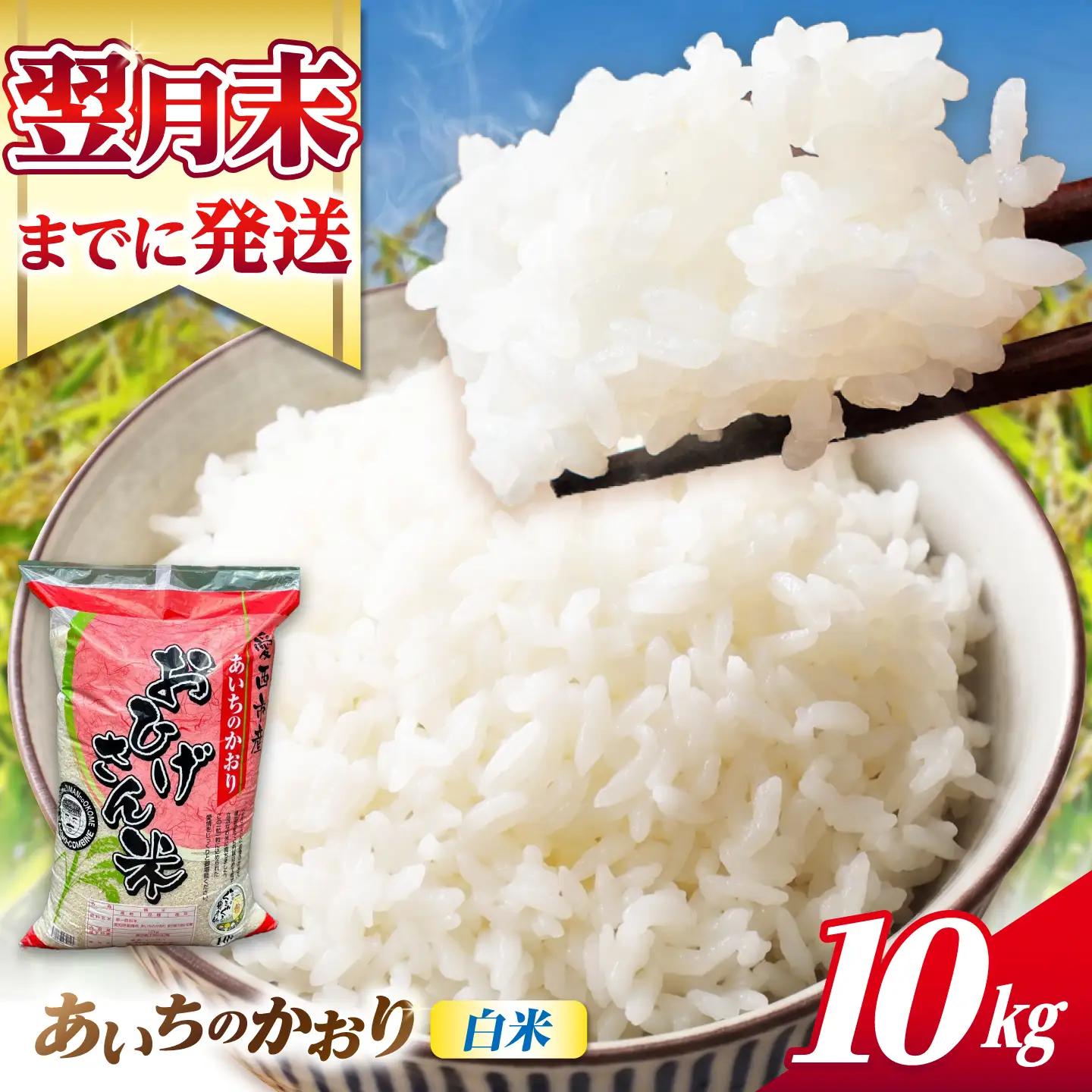 あいちのかおり 白米 10kg [AECP002-11] 白米