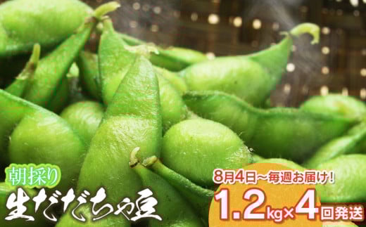 【令和7年産先行予約】【定期便】 朝採りだだちゃ豆 だだちゃ豆好き必見！毎週お届け！4回発送 1.2kg(600g×2袋)×4回　山形県鶴岡市産　鶴岡ファーマーズ