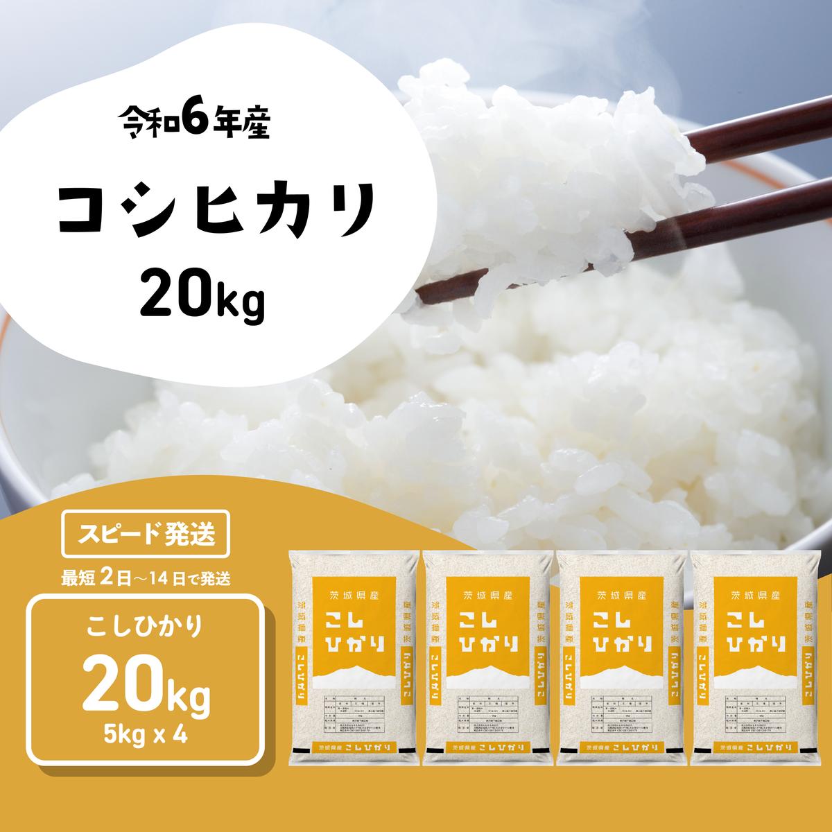 【スピード発送】コシヒカリ 20kg (5kgx4袋) 令和6年産 茨城県産 こしひかり 白米 精米 茨城県 八千代町 お米 米 [SF267yai]