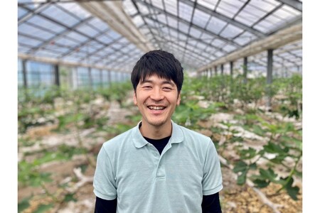 南小国産 ハーフカット冷凍イチジク 1.5kg（農薬・化学肥料不使用）