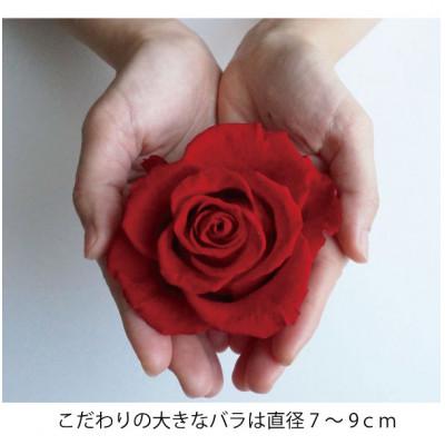 ふるさと納税 三木市 プリザーブドフラワー・幅40cmアレンジ　【ナチュレ　レッドピンク】 |  | 02