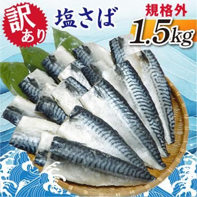 ふるさと納税 神栖市 【訳あり】規格外　塩さば　1.5kg