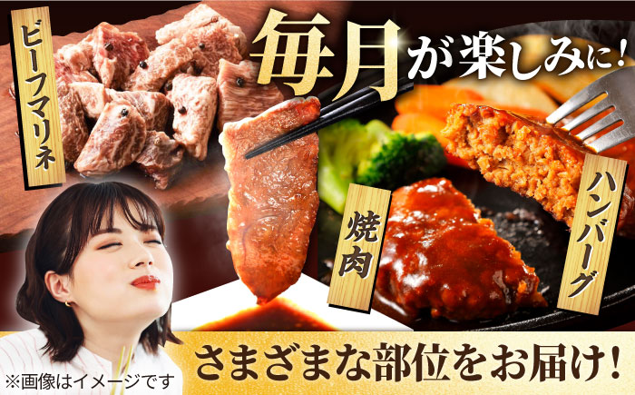 【6回定期便】しろいし牛1頭まるごと 食卓定期便 大容量 マリネ 焼肉 ハンバーグ【有限会社佐賀セントラル牧場】 [IAH222]