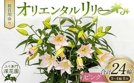 ユリ専門＜深花園＞観賞用ゆり オリエンタルリリー ピンク 3～4輪8本 F23R-502