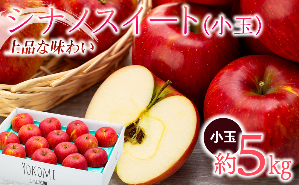 
            【2025年/令和7年度発送分！】信州りんごシナノスイート【小玉】約5kg りんご リンゴ 林檎 長野 フルーツ 果物 信州産 長野県産 特産 産地直送 おすすめ 　[№5675-1355]
          