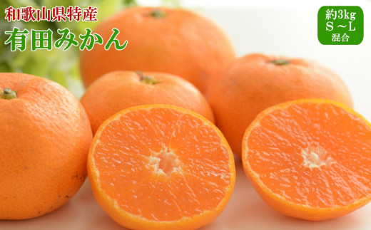 
                  [秀品]和歌山有田みかん約3kg（S～Lサイズ混合）★2026年11月中旬頃より順次発送［TM96］
                
