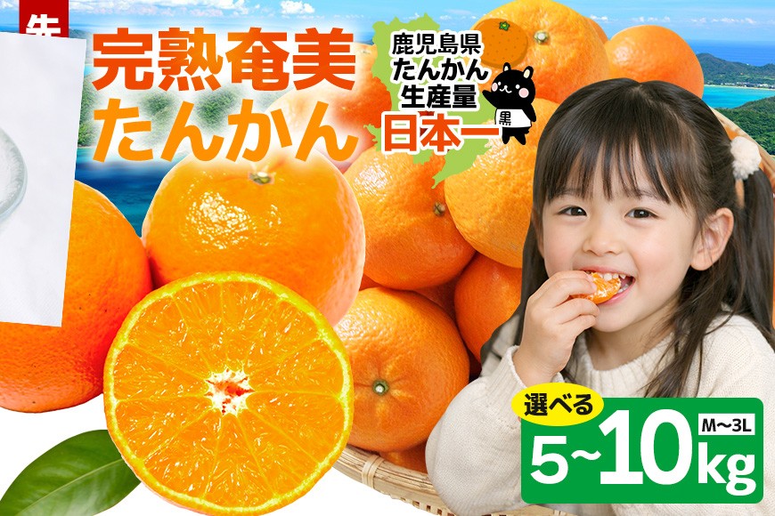 
                  【2027年先行予約】 奄美大島産 おいしい 完熟 たんかん 選べる 5kg 10kg 光センサー 選別 期間 数量 限定 予約 柑橘 みかん 果物 フルーツ 旬 甘い サイズ おまかせ 奄美大島 ピーラー付き フラスコ ふるさと納税 鹿児島 奄美市
                