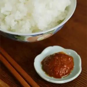 とまとみそ 無添加 2種セット  元祖トマト味噌（プレーン・甘辛）　フルーツトマト使用 万能調味料 高知県産