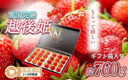 定期便 5回【1～5月発送】いちごの定期配送 雪国完熟いちご越後姫 ダブル（約760g×全5回） 越後姫 いちご