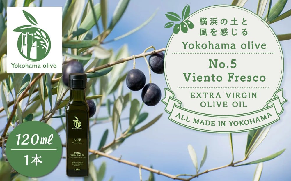 
            横浜オリーブ　No.５ビエントフレスコ　エクストラバージンオリーブオイル120ml
          