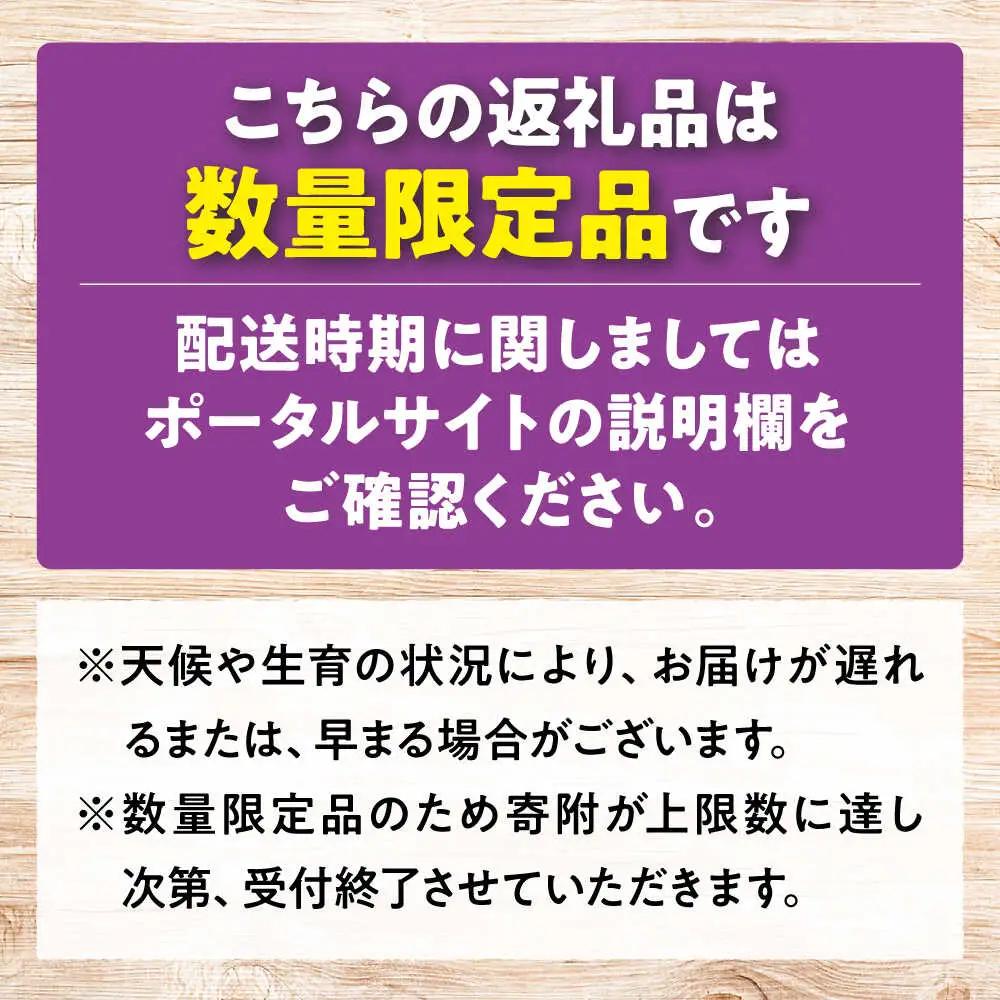 ぶどう【訳あり】ピオーネ シャインマスカット セット 計1kg [APCM008] ぶどう