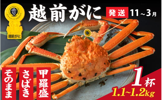 【先行予約】選べる！美味しさ直送【成前特選】越前かに（1.1kg～1.2kg）×１杯【11月～3月発送】捌き  [O-028050_08]