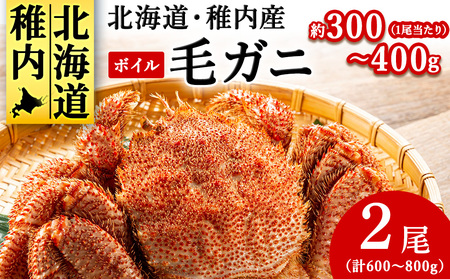 【2025製造】稚内産ボイル毛ガニ小型2尾 (1尾約300g～400gの毛ガニ×2尾)【配送不可地域：離島・沖縄県】
