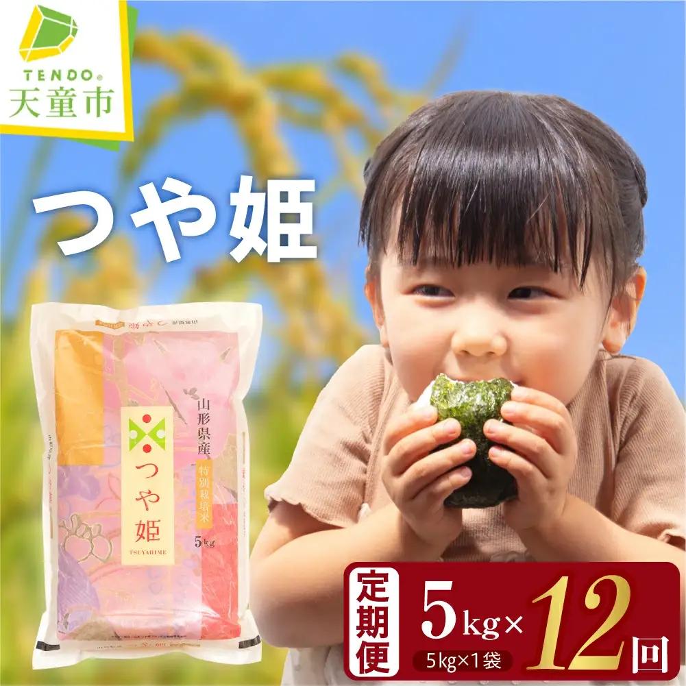つや姫 定期便 ( 5kg × 1袋 ) 12回 令和8年産 米 精米