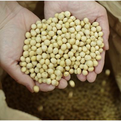 ふるさと納税 小田原市 【味噌 神奈川県 小田原市】いいちみそ1kg 6種セット(計6kg) |  | 02