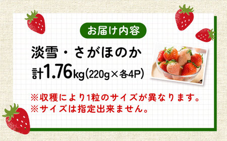 【2026年発送分 先行予約】淡雪・さがほのか 紅白いちごセット 220g×8パック / 佐賀県 / 岸川農園[41ASAG012]