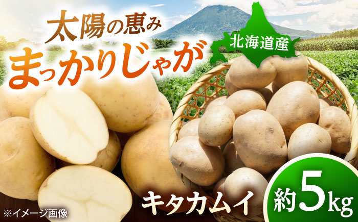 【2026年11月上旬以降順次発送】 じゃがいも キタカムイ（まっかりじゃが）5kg | 野菜 じゃがいも ジャガイモ キタカムイ 北海道 産地直送 | 道の駅 真狩フラワーセンター [BPAM048]