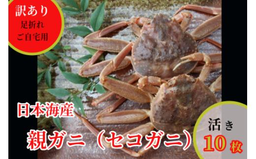 
                  【活き】訳あり足折れご自宅用　日本海産親ガニ（セコガ二）10枚 【※配送日時指定可】　 [239-WK15]
                