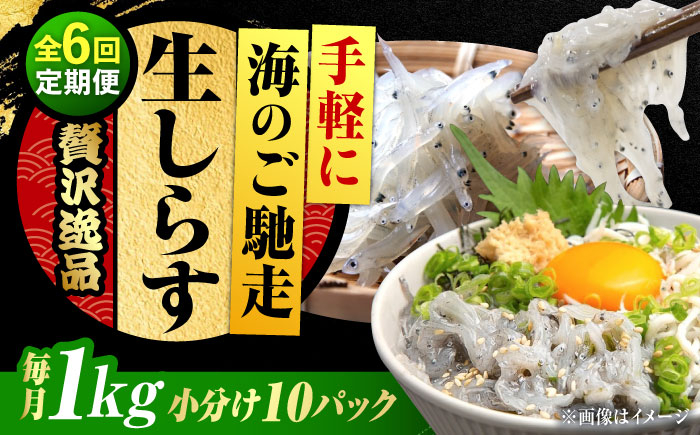 
            【全6回定期便】しらす 冷凍 シラス 小分け 干し 生しらすのプリッした食感と塩味が抜群！生しらす100g×10個 冷凍 シラス 鮮魚 ギフト 海鮮丼 広島県産 江田島市/三島水産株式会社 [XCN024]
          
