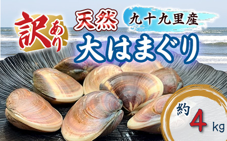 はまぐり 訳あり 規格外 10パック 計 4kg はまぐり