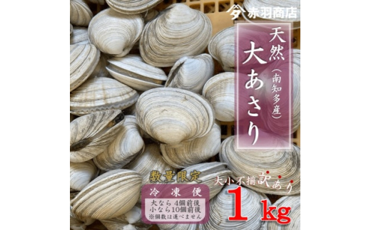 
訳あり 南知多町産 活大あさり 約1kg 大なら4個前後 小なら10個前後 不揃い※個数は選べません【1443332】
