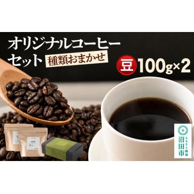 ふるさと納税 沼田市 オリジナルコーヒーセット100g×2個 【豆】