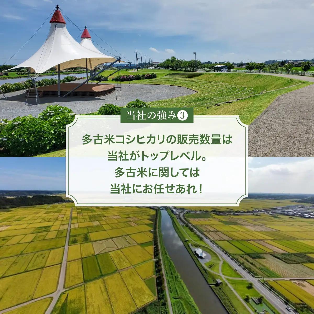 【令和7年産】多古米コシヒカリ 精米20kg(10kg×2袋)_ 精米 米 _【配送不可地域：離島・沖縄県】 TAKE003