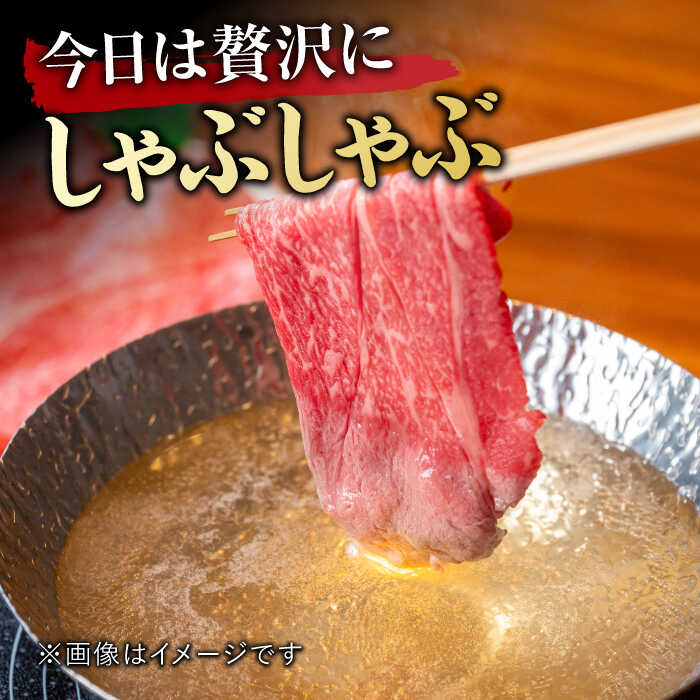 【6回定期便】 艶さし！ 佐賀牛 ローススライス 3kg （500g×6回） 吉野ヶ里町 [FDB031]