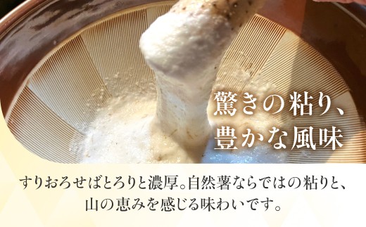 年末配送【12月21日～12月31日お届け】【2026年産】粘りが自慢の自然薯＼10月中旬～3月末発送受付／郡上奥美濃　自然薯 食品  野菜  その他野菜  山芋 自然薯 とろろ とろろご飯 岐阜県 