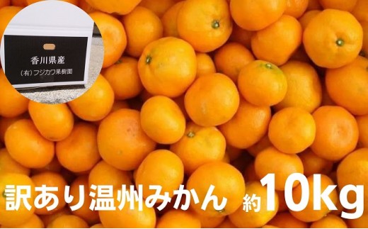 
                  みかん 訳あり 温州みかん 約10kg 2S～2L 香川県産 国産 サイズ混合 詰合せ わけあり 訳ありみかん 家庭用 フジカワ果樹園 藤川果樹園 果実 柑橘 先行予約 フルーツ 果物 くだもの 蜜柑 ミカン 柑橘類 お取り寄せ 香川県 観音寺市
                