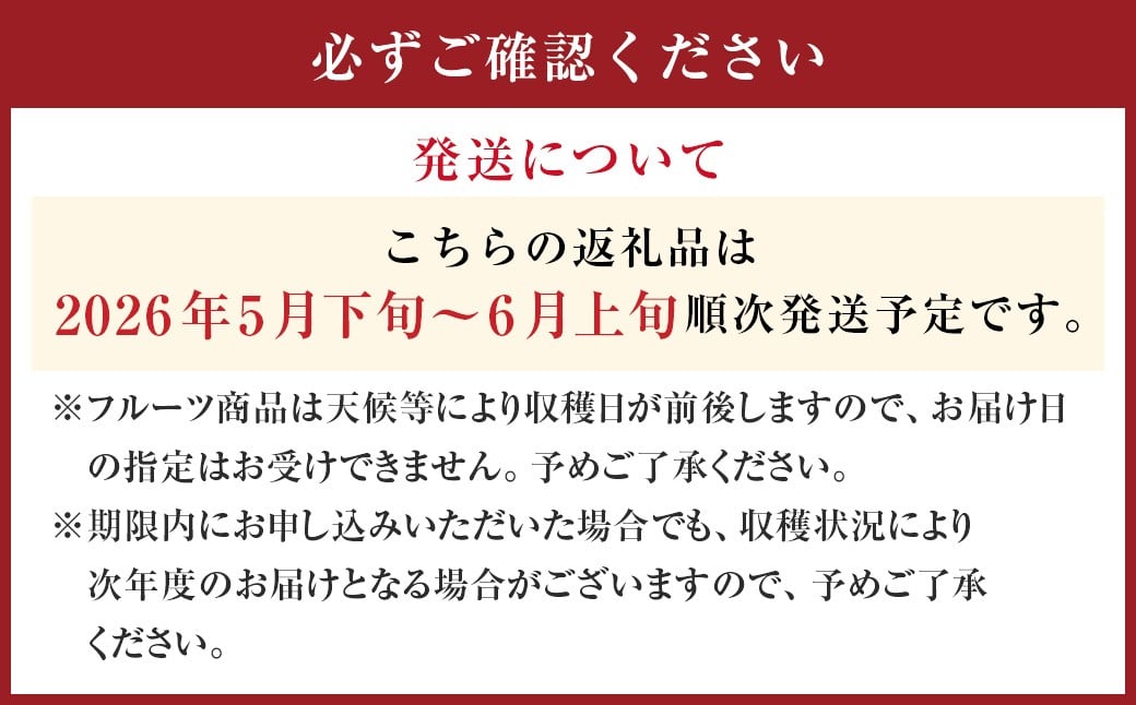 愛媛県産 河内晩柑 4kg（12～14個） 晩柑 果物 フルーツ 【2025年5月下旬～6月上旬発送予定】（873）