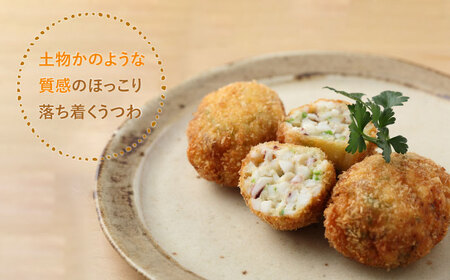 【美濃焼】土ものマット 丸々 大皿 ペアセット (シロン)【カネコ小兵製陶所】食器 パスタ皿 ワンプレート ランチ ディナー ギフト プレゼント シンプル おしゃれ [MBD198]