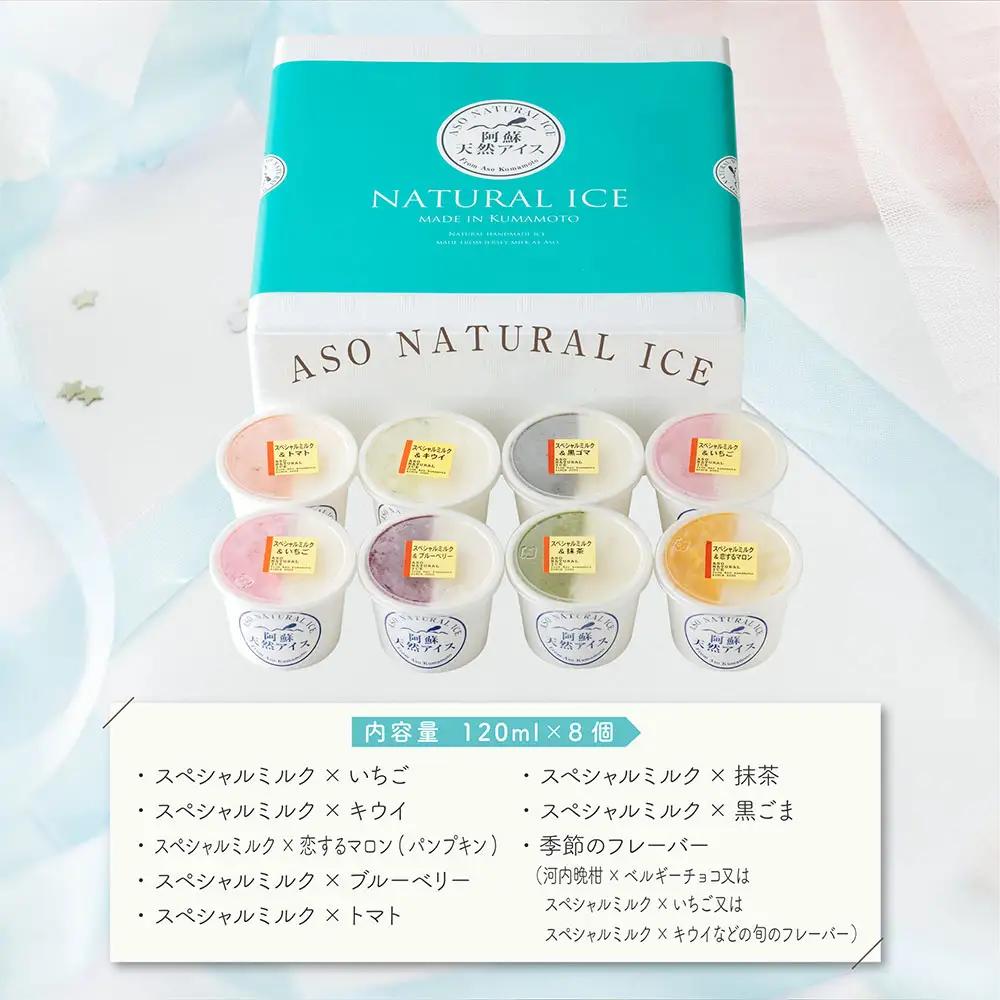阿蘇天然アイス　ハーフ&ハーフ　8個セット