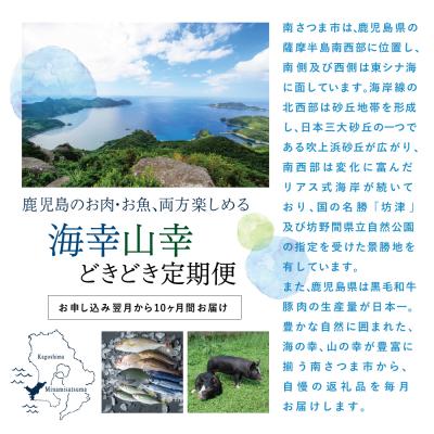 ふるさと納税 南さつま市 【定期便】海幸山幸どきどき定期便(全10回) |  | 01