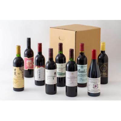 ふるさと納税 韮崎市 赤ワイン好き必見!赤ワイン9本 飲み比べセット　750ml×8本　720ml×1本 |  | 02